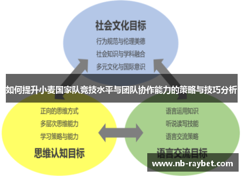 如何提升小麦国家队竞技水平与团队协作能力的策略与技巧分析