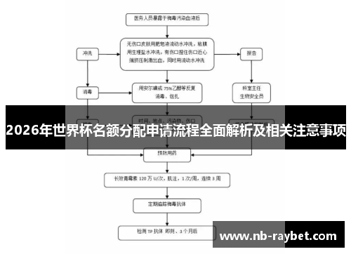 2026年世界杯名额分配申请流程全面解析及相关注意事项