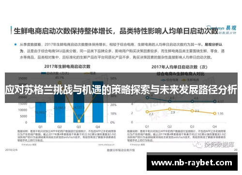 应对苏格兰挑战与机遇的策略探索与未来发展路径分析